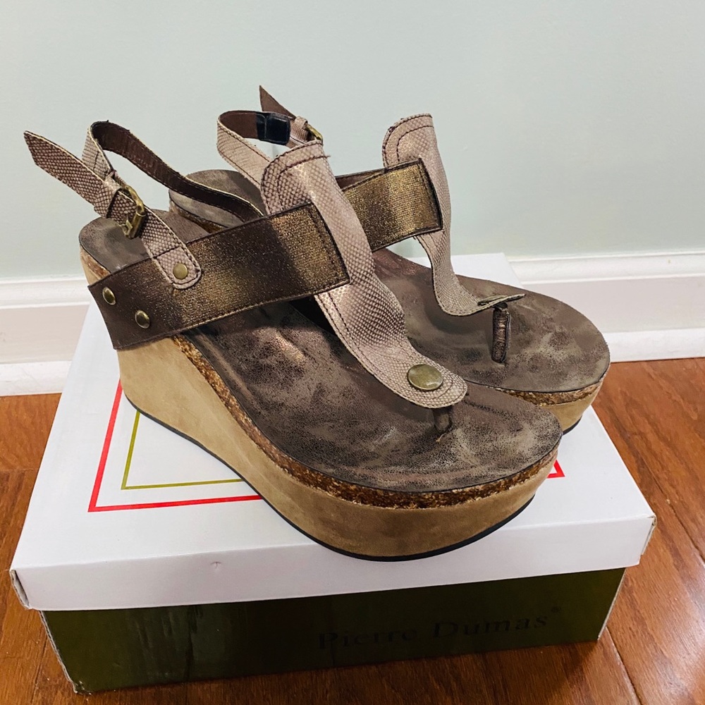 Pierre Dumas bronze wedges
